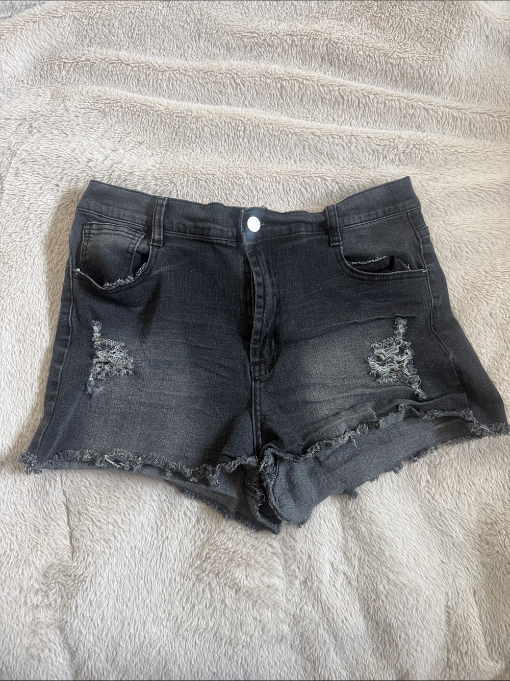 Charlotte Russe Black Distressed Denim Shorts
